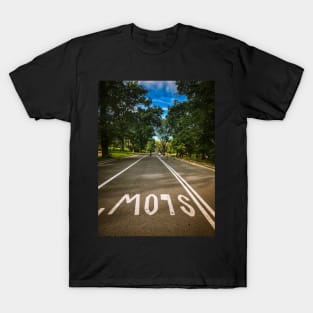 Slow Down in Central Park, Manhattan, New York City T-Shirt